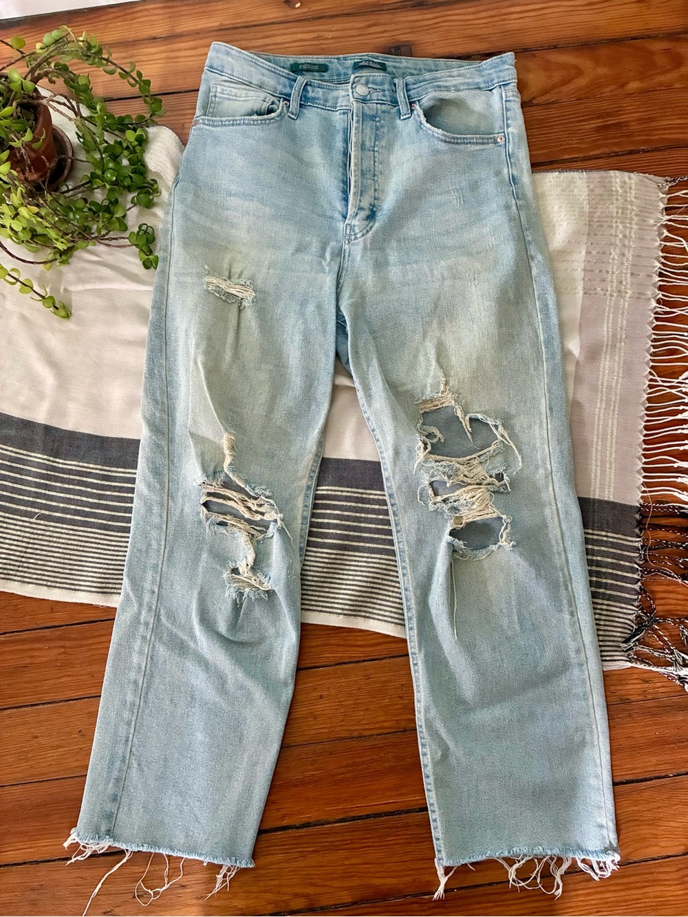 Wild Fable Highest Rise Straight Leg Distressed Button Fly Jeans